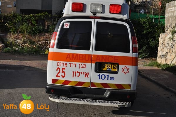 snakeluds310 (2).JPG